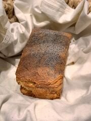 KARAKILÇIK EKMEĞİ